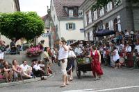 IMG_6521 (2) 